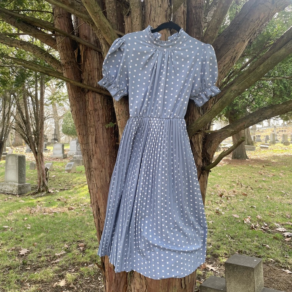 Polka Dot Blue Dress